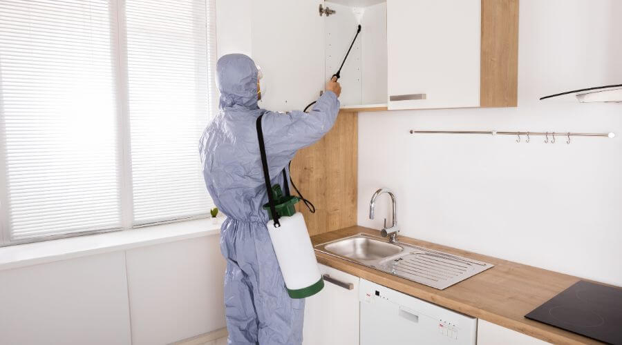 Professional pest control services in Elizabeth - Elizabeth Pest Control Experts